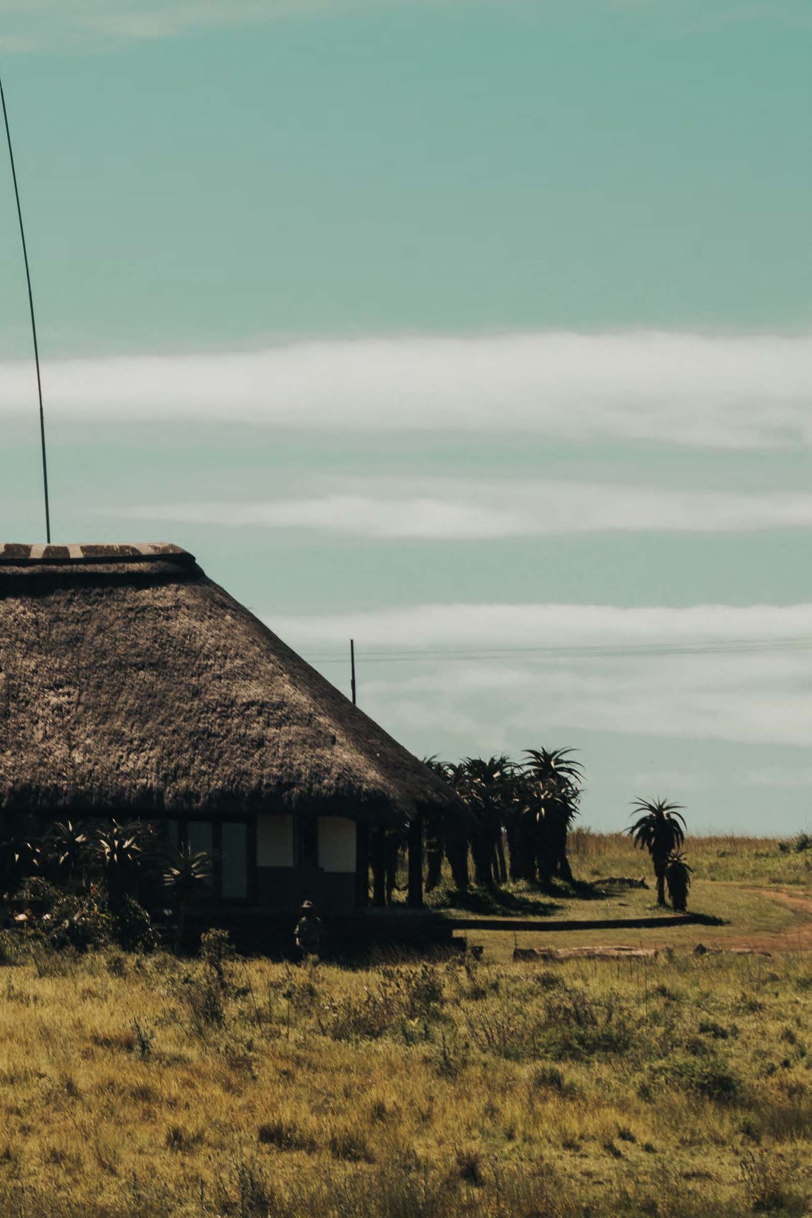 house on hill in game reserve